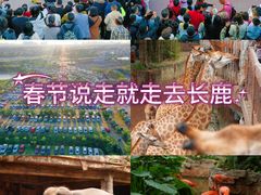 -长鹿旅游休博园