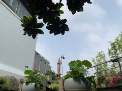 -三利音·浦之舟(滨江大道店)