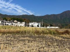 -塔川景区