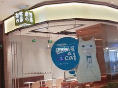 -奈雪的茶(石家庄万象城店)