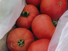 -大自然农场蔬菜草莓采摘园