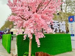 -金茂览秀城