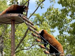 -泉州海丝野生动物世界