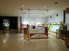 -别府杉乃井酒店
