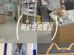 -天时宠物医院24小时疑难病例会诊中心(顾乡大街总院)