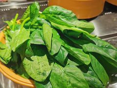 菠菜-龍歌自助小火锅(崂山丽达店)