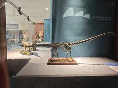 -自贡恐龙博物馆