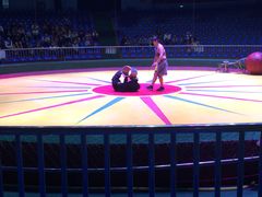 马戏表演-西安秦岭野生动物园