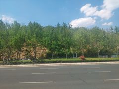 -石老人观光园