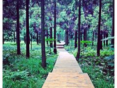 -上海怡沁园度假酒店