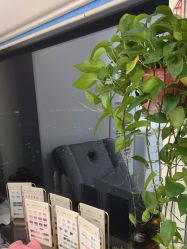 -丽心自助美甲美睫