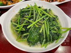 -鸢飞潍坊菜馆(鸢飞大酒店)