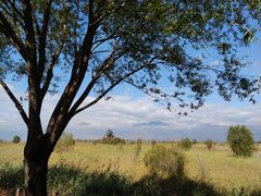 -野鸭湖国家湿地公园