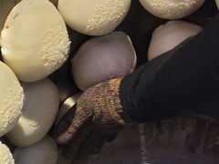 -百年夯碳烤胡椒饼(阿拉城店)