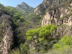 -大岭沟猕猴桃谷风景区