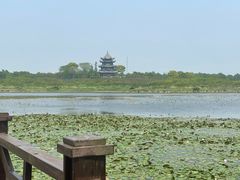 -上海海湾国家森林公园