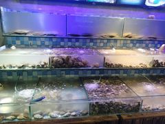 -四海蒸鲜蒸汽海鲜自助(北戴河店)
