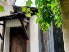 -乌镇东栅景区