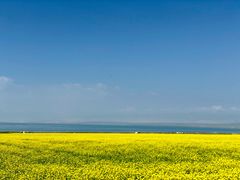 -青海湖国家重点风景名胜区