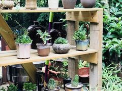 -国生茶庄·地道农家菜团建活动
