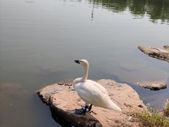 -长春世界雕塑园