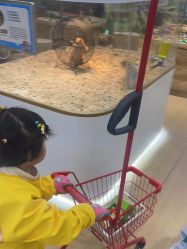 -小象动悟公园(龙湖亦庄天街店)