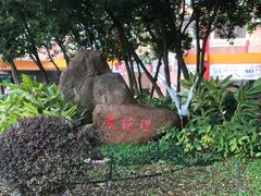 -金砂公园