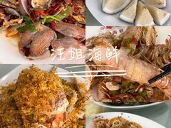 -贝壳沙滩