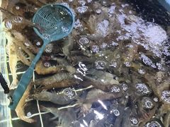 -聚盛源蒸汽海鲜火锅烤肉自助(巨川金海岸购物广场店)