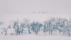 -大秃顶子山(雪谷店)