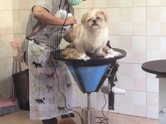 -宠福鑫动物医院·动物疾病诊疗中心(天通苑店)