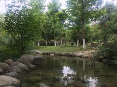 -成飞公园