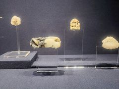 -上海博物馆(人民广场馆)