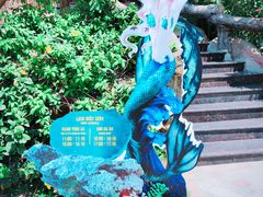 -芽庄珍珠岛游乐园