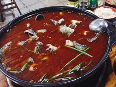 -金海椒罐罐鲢鱼(东方桂苑店)