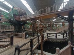 -南宫五洲植物乐园