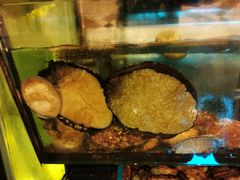 -金翠皇宫粤菜·点心·海鲜(科技园店)