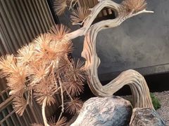 -百富源·海鲜辽菜(浑河堡店)