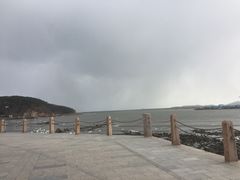 -烟墩角天鹅湖