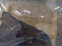 -安安宠医宠物医院·异宠·犬猫内科(岳阳分院)