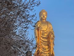 -红光山景区
