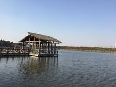 -溱湖国家湿地公园