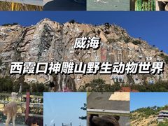 -西霞口神雕山野生动物世界