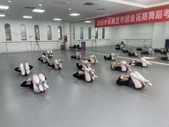 -西安小天鹅艺术团(金花路校区)