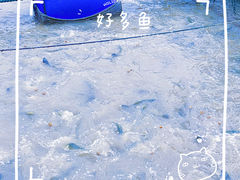 -温岭石塘海边