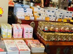 -猫咪博物馆(顶澳仔猫街店)