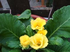 -国生茶庄·地道农家菜团建活动