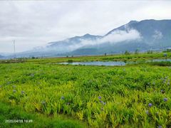 -腾冲北海湿地
