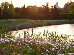 桥下-太阳岛度假酒店