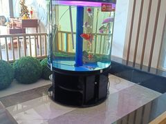 -乐汤汇温泉生活馆